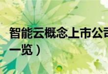 智能云概念上市公司股票有哪些（智能云股票一览）