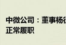 中微公司：董事杨征帆接受有关部门调查无法正常履职