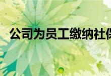 公司为员工缴纳社保多少钱 需要什么材料 