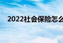 2022社会保险怎么缴纳 缴纳比例是多少 
