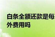 白条全额还款是每月的吗 白条正常还款有额外费用吗