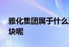 雅化集团属于什么题材 雅化集团属于什么板块呢 
