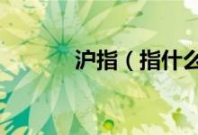 沪指（指什么  深成是指什么）