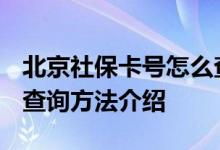 北京社保卡号怎么查询 2022年北京社保卡号查询方法介绍 