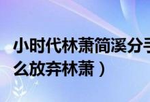 小时代林萧简溪分手（电视剧小时代简溪为什么放弃林萧）