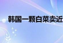 韩国一颗白菜卖近25元（价格持续飙升）