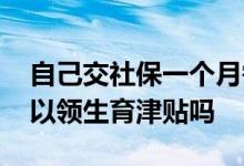 自己交社保一个月需要多少钱 自己交社保可以领生育津贴吗 