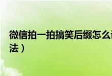 微信拍一拍搞笑后缀怎么设置（微信拍一拍搞笑文字设置方法）
