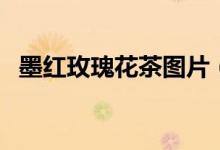 墨红玫瑰花茶图片（墨红玫瑰花茶的功效）
