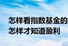 怎样看指数基金的指标做定投 指数定投基金怎样才知道盈利