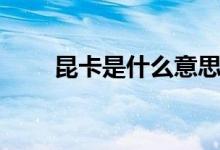 昆卡是什么意思（卡昆卡什么意思）