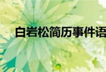 白岩松简历事件语录（白岩松老婆是谁）