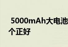  5000mAh大电池 续航时间长vivoZ5x换一个正好 