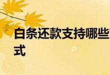 白条还款支持哪些方式 白条还款支持哪些方式