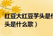 红豆大红豆芋头是什么歌春晚（红豆大红豆芋头是什么歌）