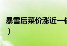 暴雪后菜价涨近一倍（个别菜价较高总体平稳）