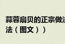 蒜蓉扇贝的正宗做法视频（蒜蓉扇贝的正宗做法（图文））