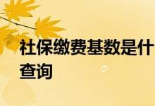 社保缴费基数是什么意思 社保缴费基数怎么查询 