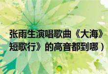 张雨生演唱歌曲《大海》（张雨生的《大海》和陈乃荣的《短歌行》的高音都到哪）