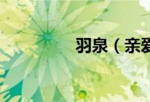 羽泉（亲爱的 全部歌词）