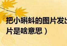 把小蝌蚪的图片发出来（给女生发送小蝌蚪图片是啥意思）