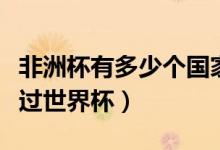 非洲杯有多少个国家参加（非洲哪些国家举行过世界杯）