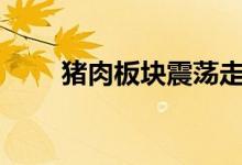 猪肉板块震荡走低巨星农牧跌超6%