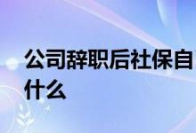 公司辞职后社保自己交多少钱 自己交流程是什么 
