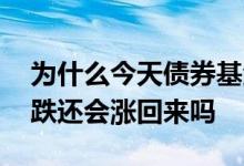 为什么今天债券基金跌的这么多 债券基金下跌还会涨回来吗