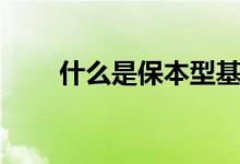 什么是保本型基金（收益率是多少）