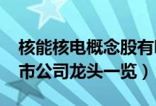 核能核电概念股有哪些（2022年核能核电上市公司龙头一览）