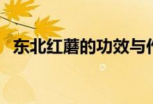 东北红蘑的功效与作用（东北红蘑怎么做）