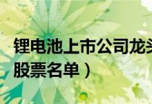 锂电池上市公司龙头有哪些（锂电池上市公司股票名单）