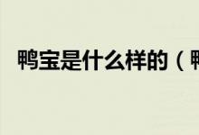 鸭宝是什么样的（鸭宝有什么功效与作用）