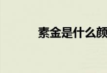 素金是什么颜色（素金是什么）