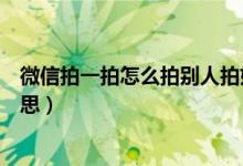 微信拍一拍怎么拍别人拍好友拍对方（微信拍一拍是什么意思）