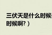 三伏天是什么时候开始2020（三伏天是什么时候啊?）