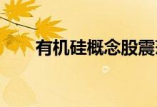 有机硅概念股震荡走强宏柏新材涨停