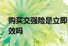 购买交强险是立即生效吗 交强险买了立马生效吗