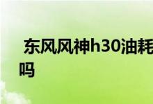  东风风神h30油耗高吗 东风风神h30油耗高吗 