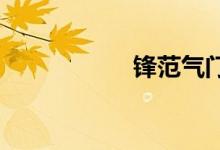  锋范气门间隙是多少 