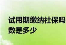 试用期缴纳社保吗 试用期缴纳社保的缴费基数是多少 