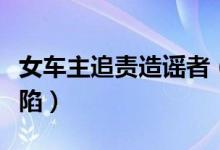 女车主追责造谣者（奔驰事件发酵维权女被诬陷）