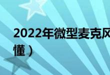 2022年微型麦克风概念股龙头名单（一看就懂）