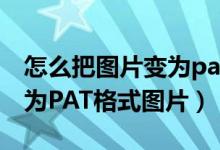 怎么把图片变为pat格式（如何把JPG图片变为PAT格式图片）