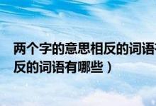 两个字的意思相反的词语有什么（每个词中两个字的意思相反的词语有哪些）
