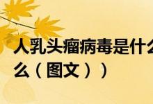 人乳头瘤病毒是什么疾病（人乳头瘤病毒是什么（图文））