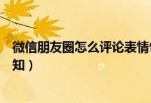 微信朋友圈怎么评论表情包（微信朋友圈评论表情包操作须知）