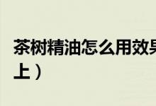 茶树精油怎么用效果好（茶树精油怎么用在脸上）