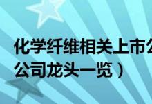 化学纤维相关上市公司有哪些（化学纤维上市公司龙头一览）